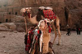 Capturing Jordan: Images That Tell a Thousand Tales