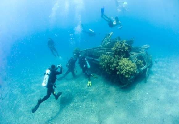 Diving & Snorkeling in the Red Sea 