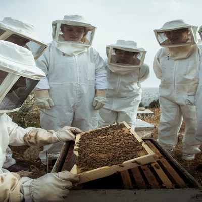 Beekeeping at Baraka Destinations